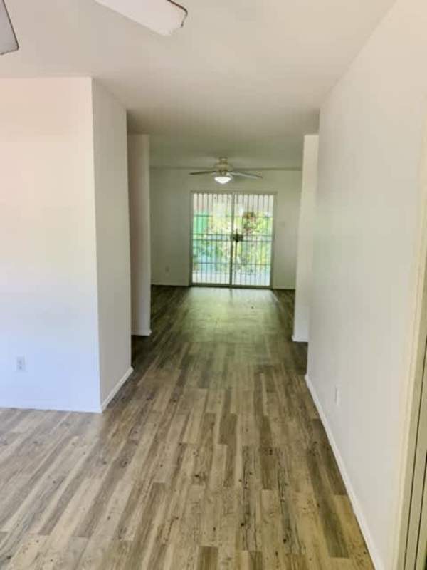 Open space living dining room with wood-look flooring multi-unit apartment Clayton Panama