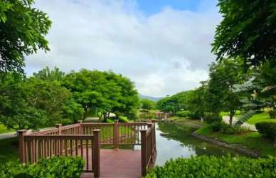 Peaceful garden and creek view in River Valley Panama Pacifico community