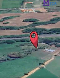 Large flat commercial parcel along highway with trees and adjacent buildings in Pedasí