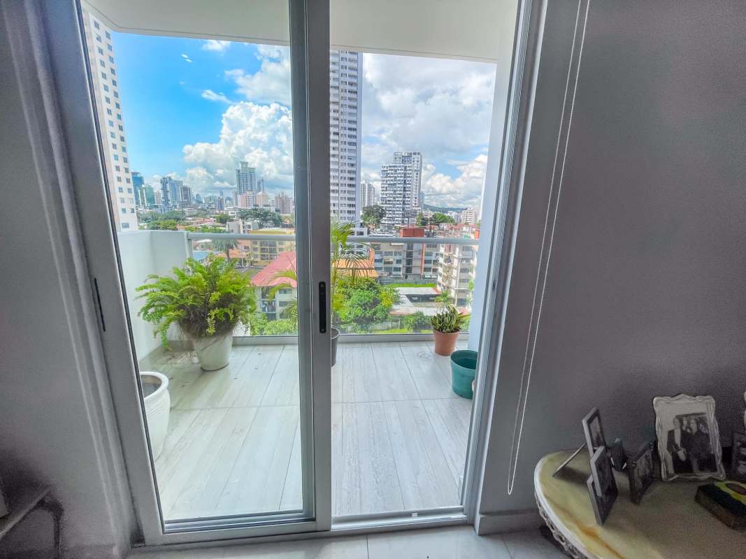 Private balcony with potted plants overlooking vibrant Panama skyline PH Windows Tower San Francisco