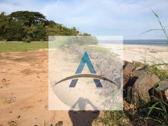Palm trees and greenery on beachfront land at Punta Roca in San Carlos Panama