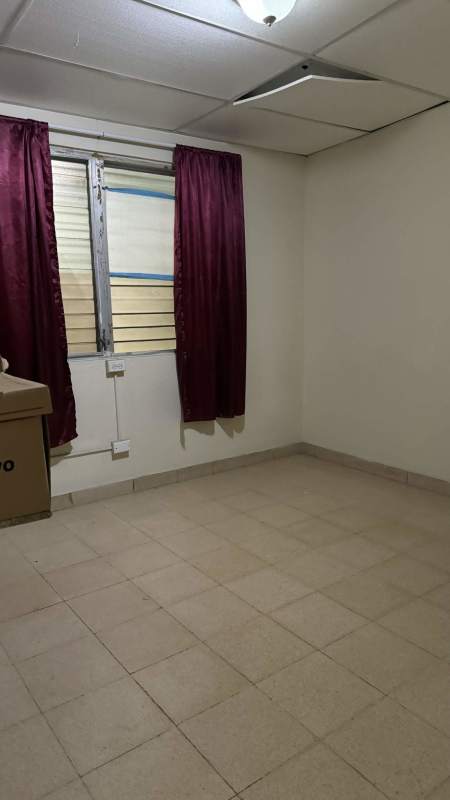 Functional office area with tile floors, multiple desks, green walls in Panama City