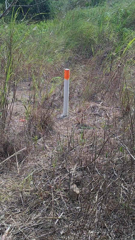 1 hectare flat lot with overgrown grass and boundary marker along Transistmica Avenue Las Cumbres Panama