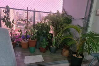 Apartment for Rent in San Francisco - 3 bedrooms