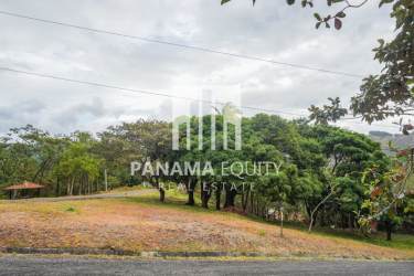 Vacant grassy lot with mature trees, paved road access and mountains Granada Altos del María Panama