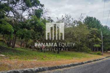 Roadside woodland plot with greenery next to paved road in Granada Altos del María Panama