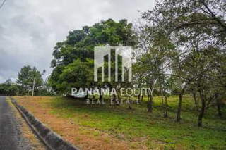 Land for Sale in Altos del María - 0 bedrooms