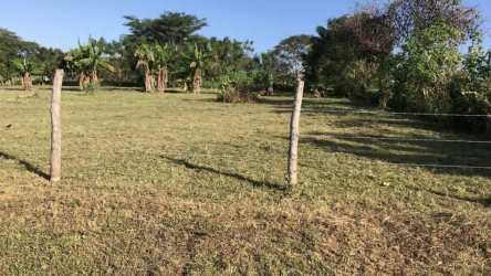 Natural grassy open land ideal for building or agriculture near Pedasí beaches, Panama