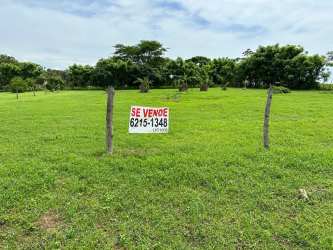 Large open field property perfect for beach house rental or farm in Pedasí Los Santos Panama