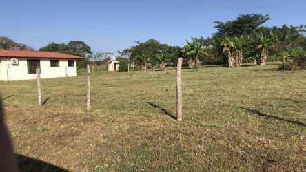 Vacant countryside lot fenced with trees near Pedasí beaches ideal for home or investment