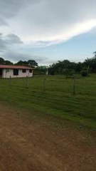 Land for Sale in Tonosí - 0 bedrooms