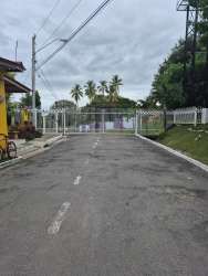 Wooded landscape with mature trees grassy slope Valle Los Lirios Panama