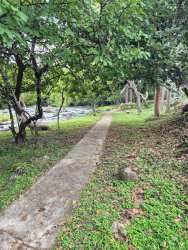 Security gate with paved road and palm trees Valle Los Lirios Panama