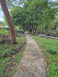 Stone walking path with lush greenery mature trees Valle Los Lirios Panama