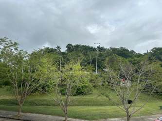 Green landscape with grass, trees, and sidewalk in Panama Pacifico near PH Soleo apartment