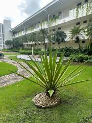 Tropical landscaping and garden areas outside PH Soleo Panama Pacifico condominium