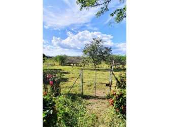 Open countryside land with lush green cover suitable for farming in Tonosí Los Santos Panama