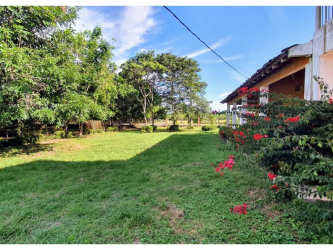 Wide green lawn with flowering shrubs and trees on farm property Los Santos Panama