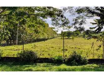 Open grass pasture enclosed with fencing and hillside backdrop on ranch land Tonosí Panama