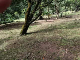 Agricultural Land for Sale in Tocumen - 3 bedrooms