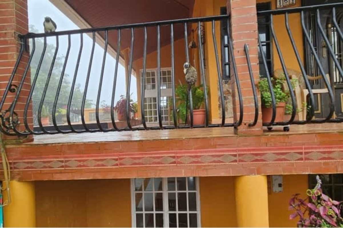 Mediterranean-style balcony with potted plants, iron railing, mountain view Cerro Azul Panama
