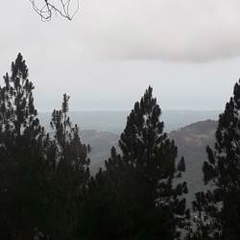 Land / Lot for Sale in Chame District - 0 bedrooms