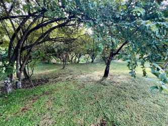 Large open grassy land lot facing school Colinas del Mar Coronado Panama