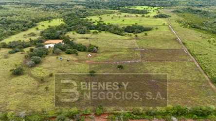 Rural farmhouse amidst fenced green pastureland on 97 hectares for cattle and agriculture in Chiriquí