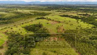 Farm Land for Sale in San Lorenzo - 0 bedrooms