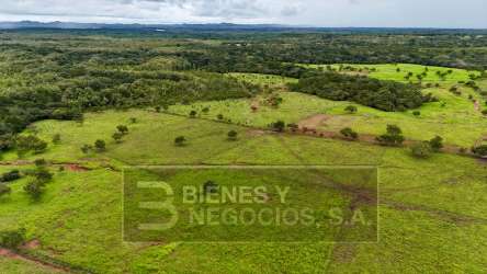 Wide aerial of large flat agricultural land with trees and mountain background in Chiriquí Panama