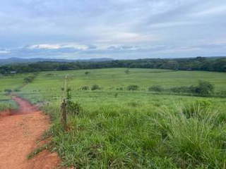 Finca / Land for Sale in Mariato - 0 bedrooms