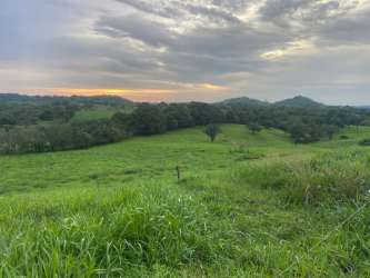 Private waterfall with lush vegetation surrounded by tropical forest on farm for sale in Mariato Veraguas Panama