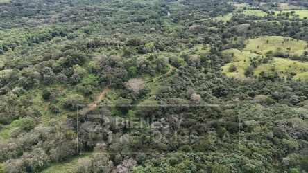 Expansive lush green rural property beside Pan-American highway in Panama