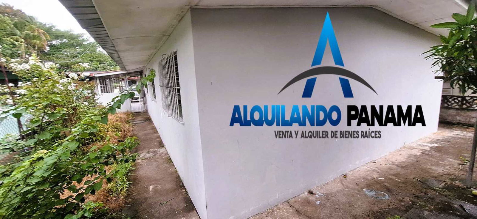 Garden backyard mature trees greenery residential house Panama city