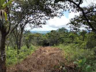 Seaside 12 Hectares Land with Ocean View in Pixvae Veraguas