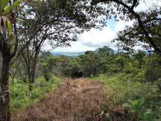 Land for Sale in Mariato - 0 bedrooms