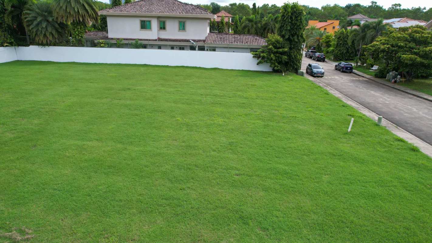 Green vacant land plot with surrounding white wall and residential properties Panama City