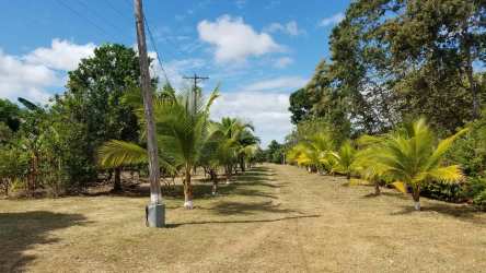 13,177m2 Titled Land Investment near Rio Hato Airport Panama