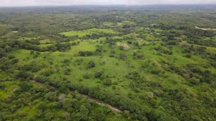 47 Hectare Investment Land near Highway San Carlos