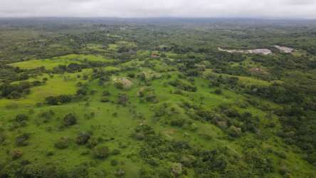 Open farmland and forest patches on 47 hectare plot in El Higo San Carlos Panama
