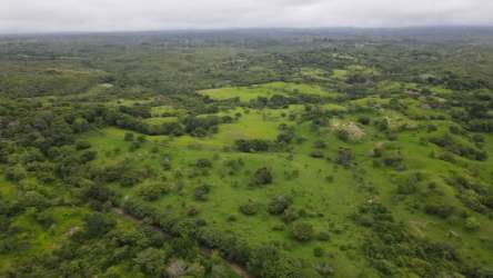 Rolling countryside parcel of 47 hectares for tourism or farming San Carlos Panama