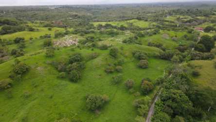 Lush green rolling terrain with trees and open areas on 47 hectares in El Higo San Carlos Panama