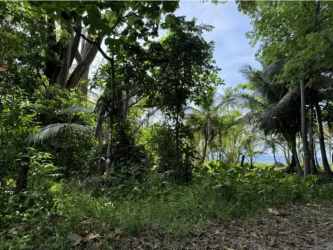 Beachfront land with palm trees, clear ocean and sandy coastline on Panama’s Caribbean in Palenque Colón