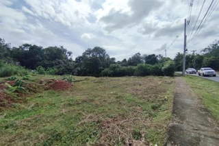 Commercial Land for Sale in Pedregal - 0 bedrooms