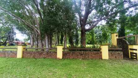 Flat terrain filled with grass and mature trees ideal for agriculture or development in Chame Panama