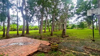 Farm / Land for Sale in Chame - 0 bedrooms