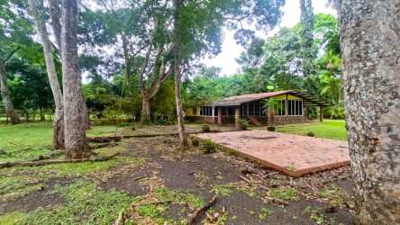 Spacious pasture land with grass and trees perfect for farming or residential project