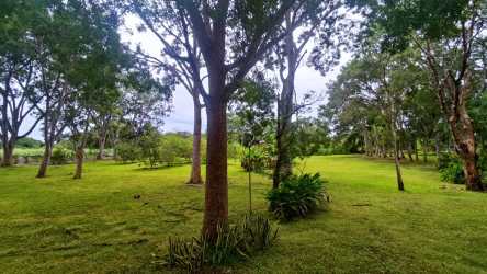 Wide natural landscape with trees and open sky in rural Panama