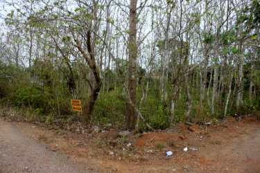 Wooded corner lot undeveloped with for sale sign Nuevo Emperador rural Panama