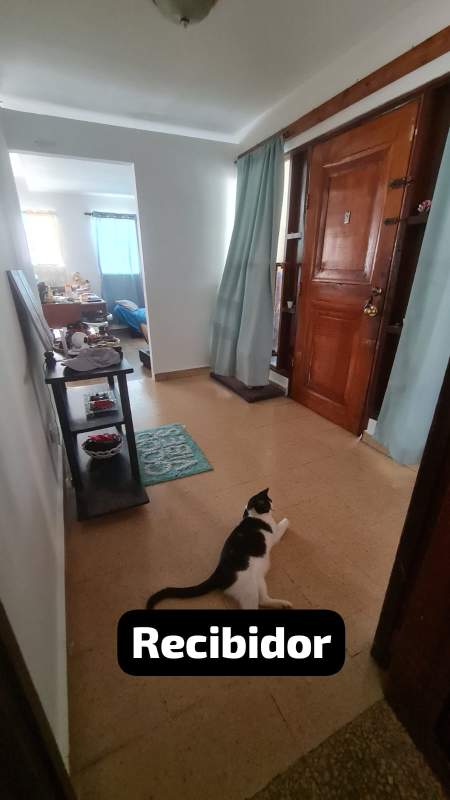 Traditional kitchen with granite countertops, breakfast bar, wooden cabinets in Betania house